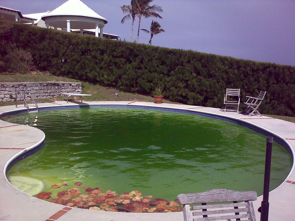 Very dirty pool water — Darwin Fibreglass Pools & Spas In Winnellie, NT