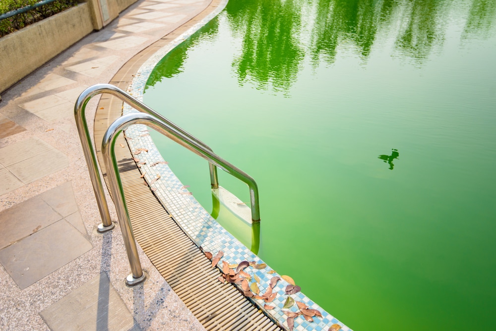 Green pool water — Darwin Fibreglass Pools & Spas In Winnellie, NT